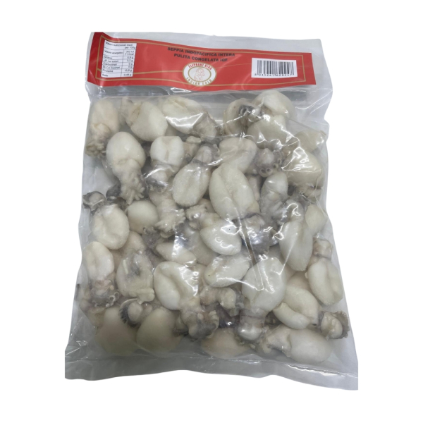 Cuttlefish cleaned 61 up (Sepia Pharaonis)