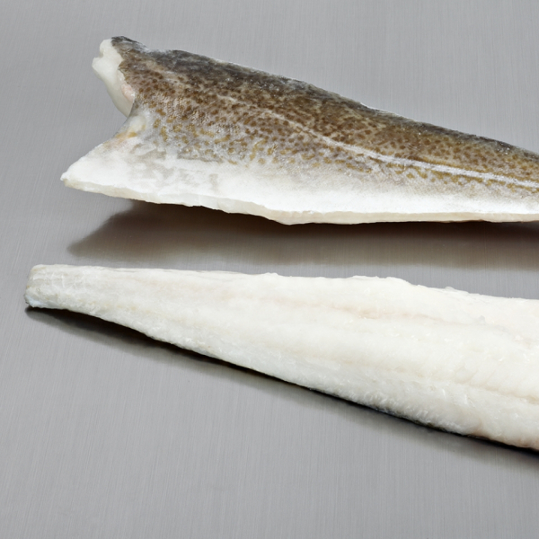 Cod fillet (Gadus Morhua)