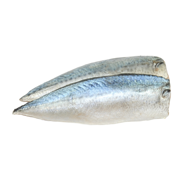 Mackerel fillet (Scomber Scombrus)