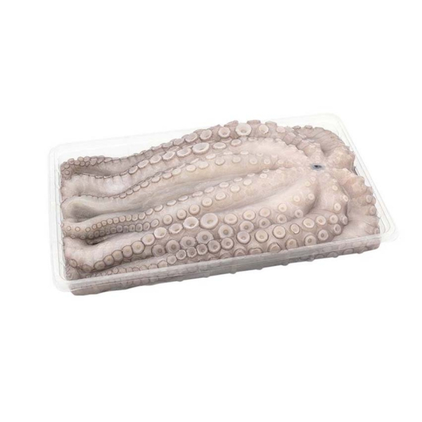 2-3kg tray (Octopus Vulgaris)