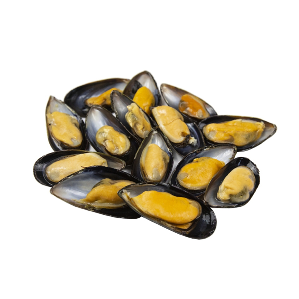 Half shell Mussels Chile (Mytilus Chilensis)